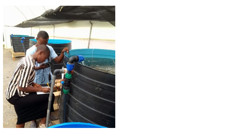 Students are Gaining Valuable Practical Experience at Egerton Living Lab